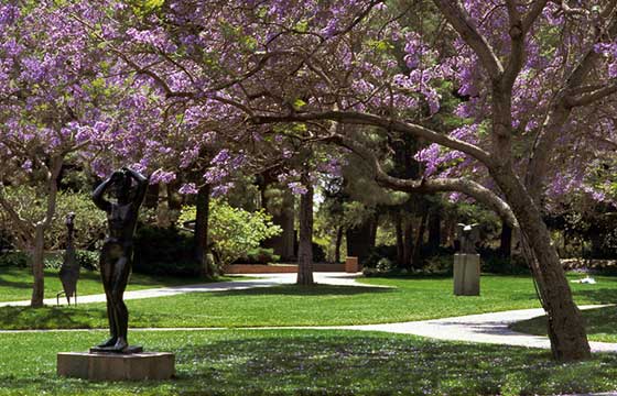 Murphy Sculpture Garden near UCLA hotel and conference center.